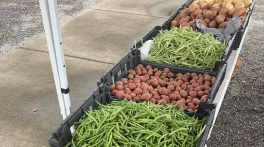 North Charleston Farmers Market